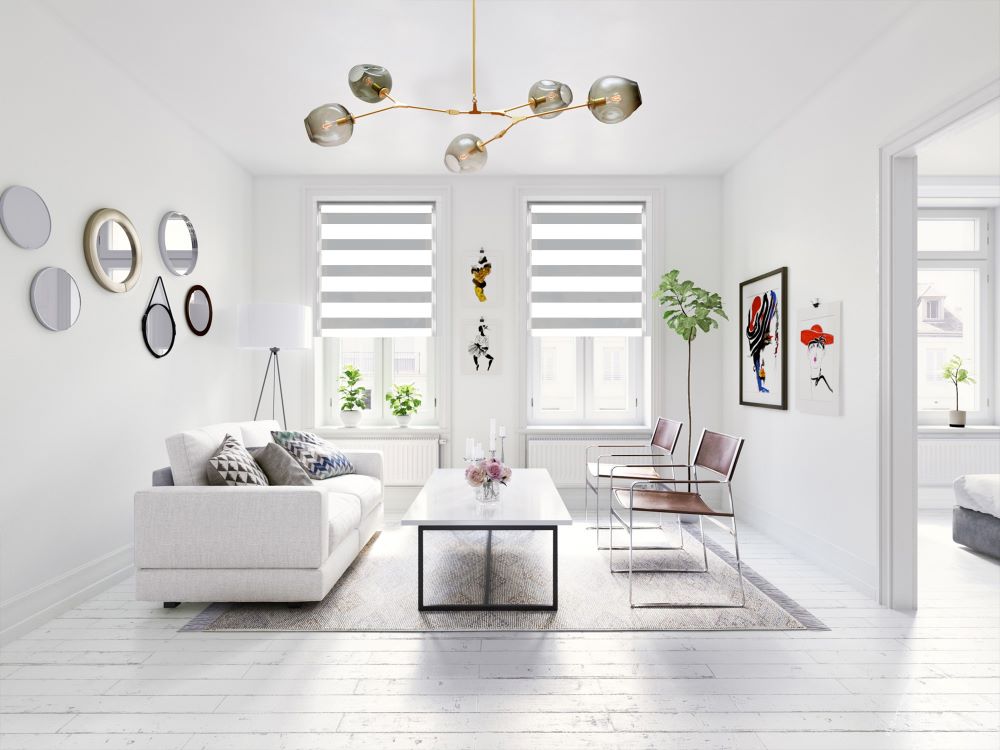 Funky Gadgets White Day Night Blinds Double Layer Sheer Fabric blinds Windows Curtains For Bedroom Easy Fit Drilling & No Drilling Opaque Shades Zebra Roller Blinds